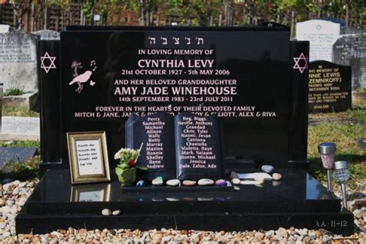 Cynthia Winehouse's Music, Struggles, And Legacy