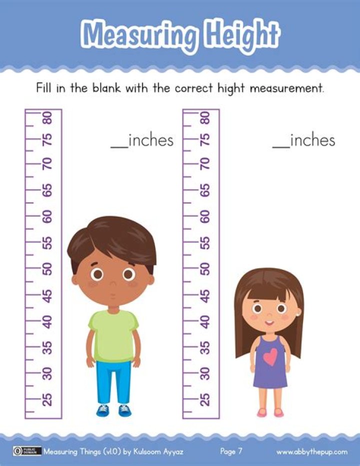 Exploring Age, Height, And Career Highlights