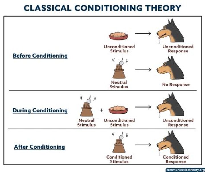Nick Gilbert's Condition Explained: Unraveling The Journey