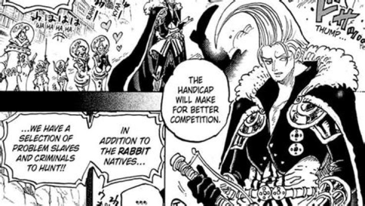 Secrets And Surprises From One Piece