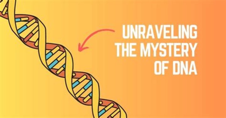 Unraveling The Mysteries Of His Marital Status