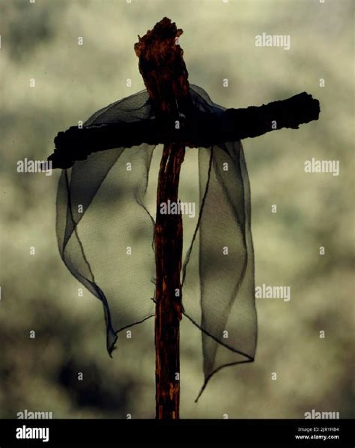 Unraveling The Mystery And Triumph Of Resilience