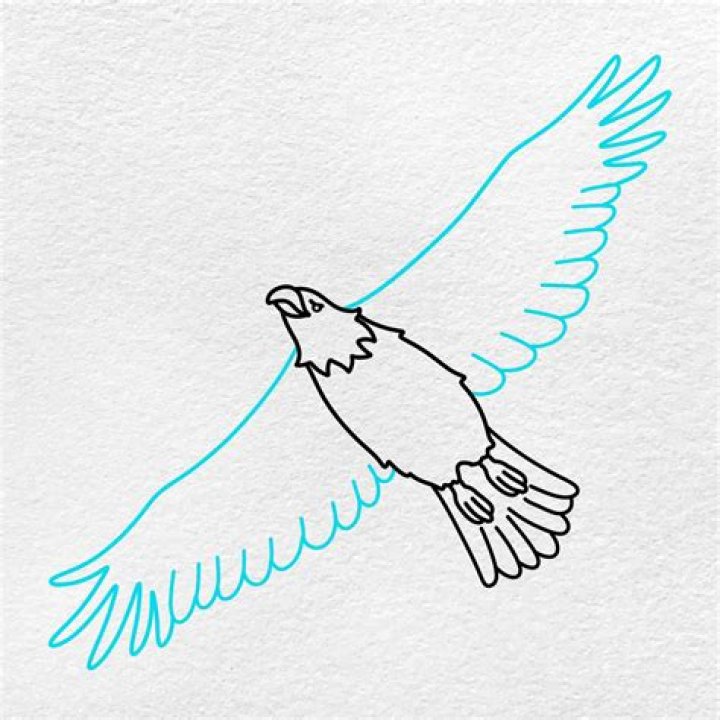 Your Simple Guide To A Soaring Adventure