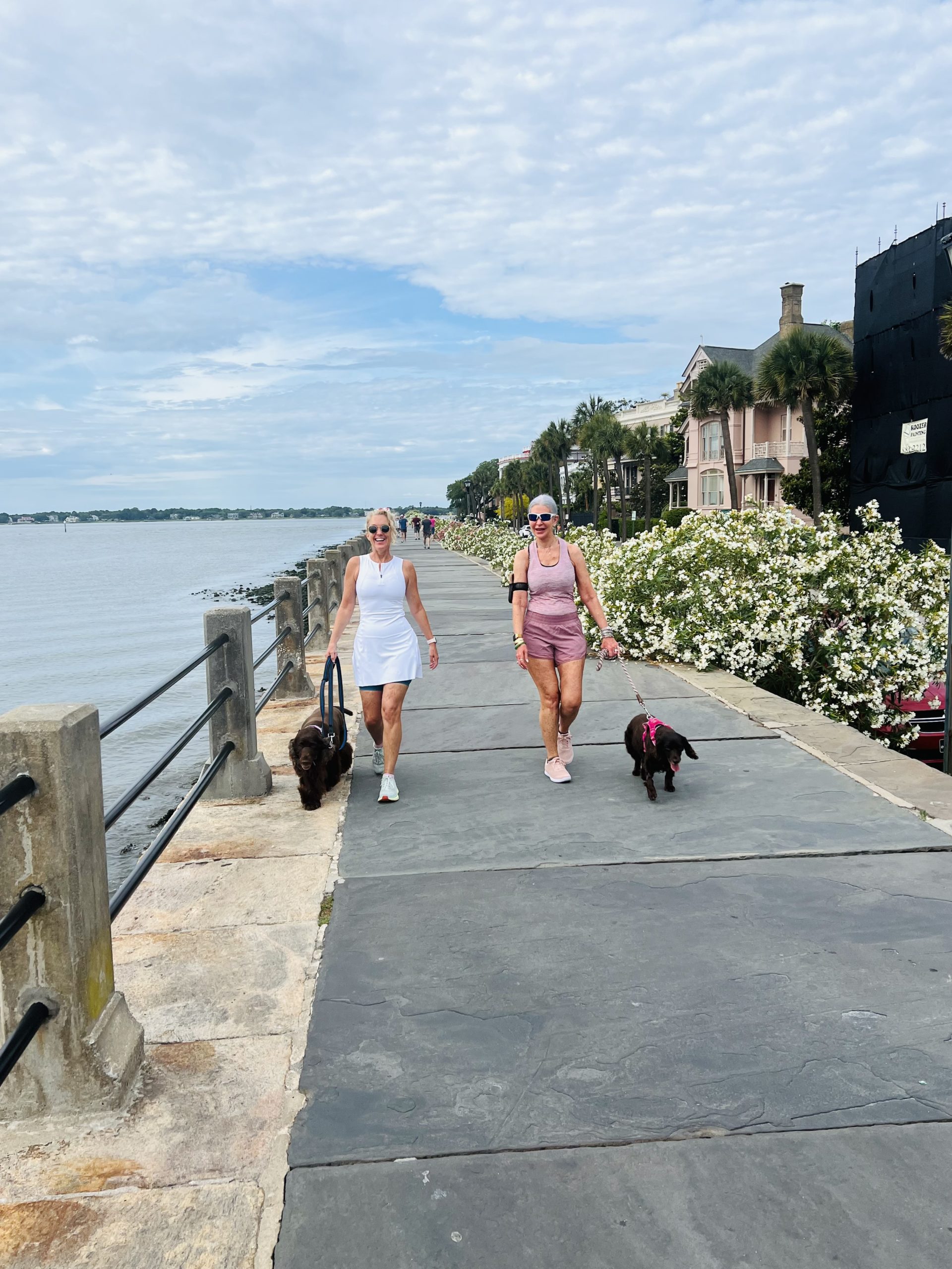 ladies walking through the streets of charleston with dog